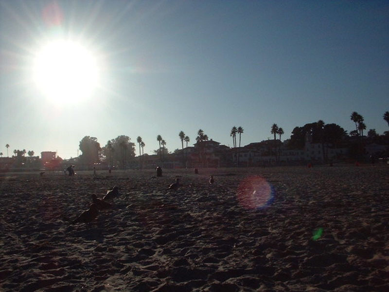 DSCF0545