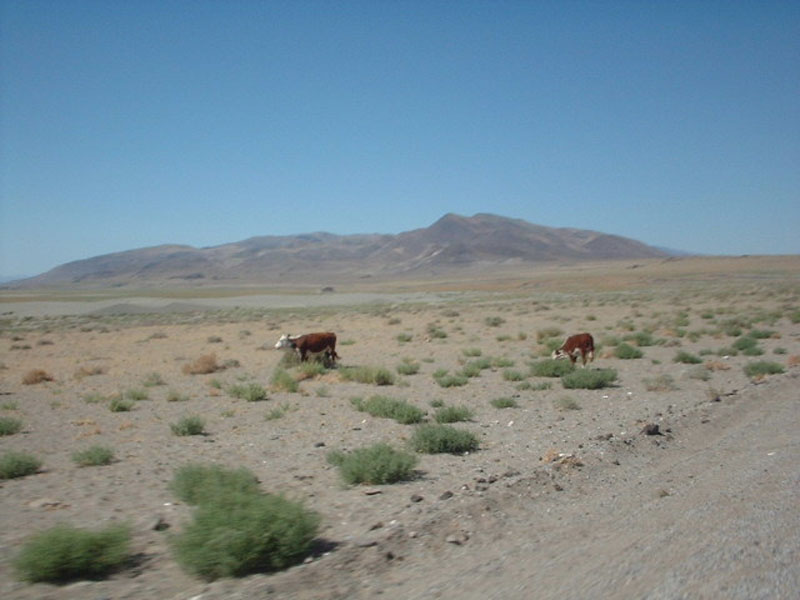 DSCF0490