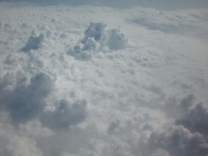 DSCF0639