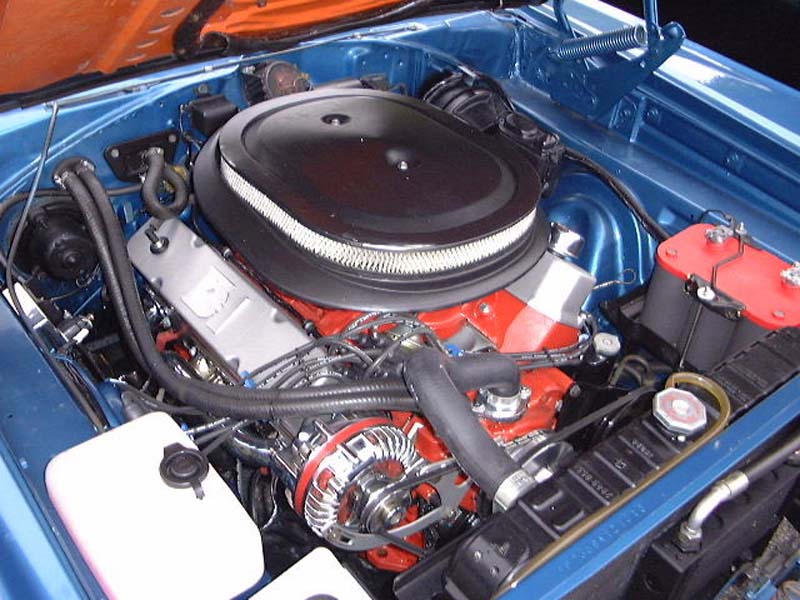 roadrunner