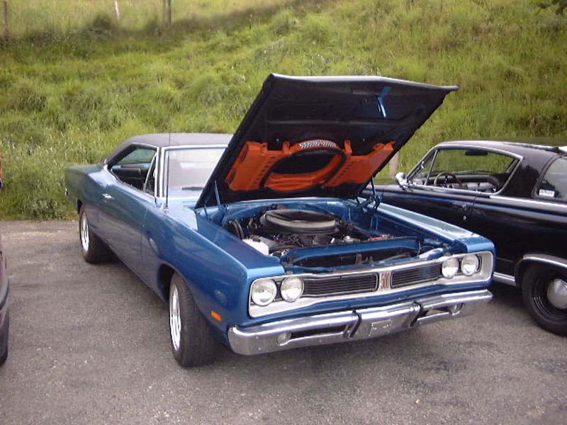 roadrunner