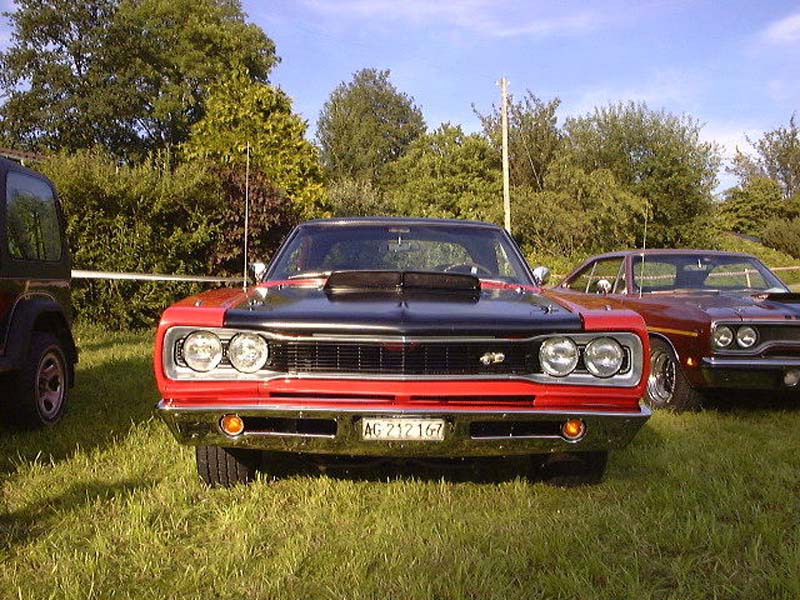 roadrunner