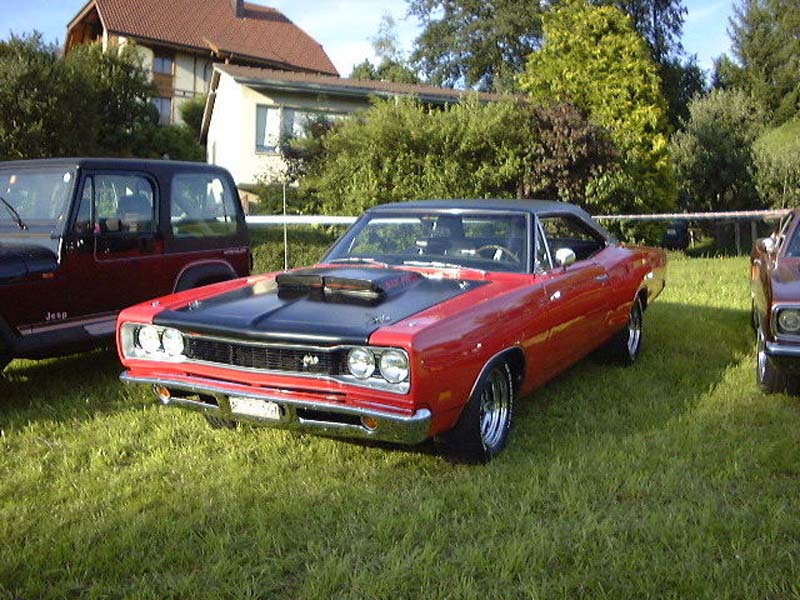 roadrunner