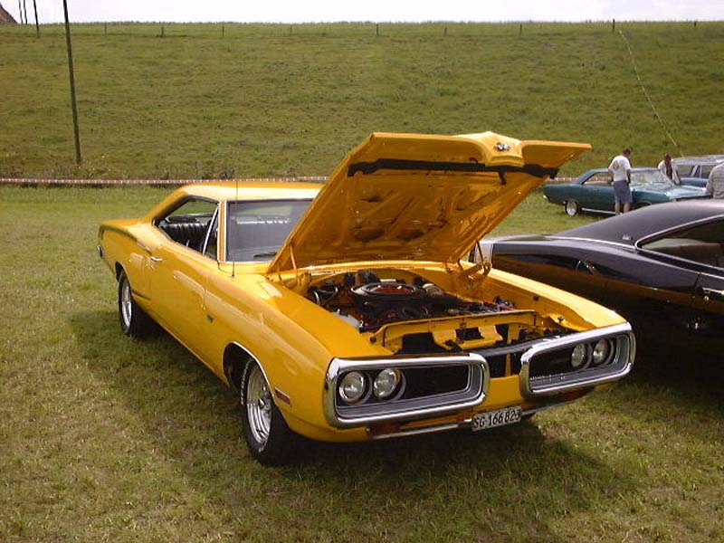 roadrunner