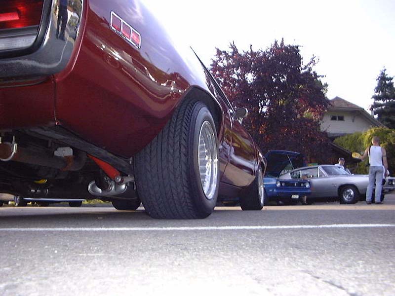roadrunner