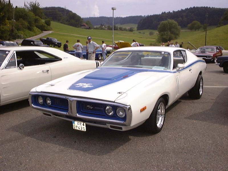 roadrunner