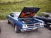 roadrunner