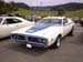 roadrunner